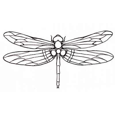 Best Dragonfly Design Water Transfer Temporary Tattoo(fake Tattoo) Stickers NO.11153